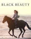 Black Beauty Türkçe izle