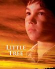 Küçük Ağaç’ın Eğitimi – The Education of Little Tree Türkçe Dublaj izle