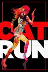 Güzel Tanık – Cat Run 2011 Türkçe Dublaj izle